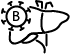 Hepatitis-B